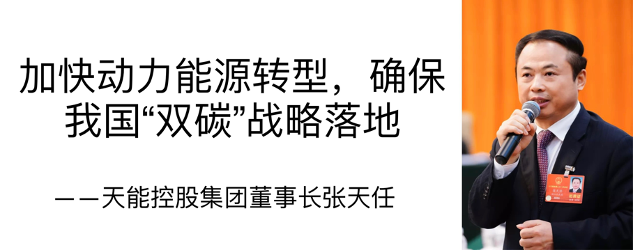 天能控股张天任