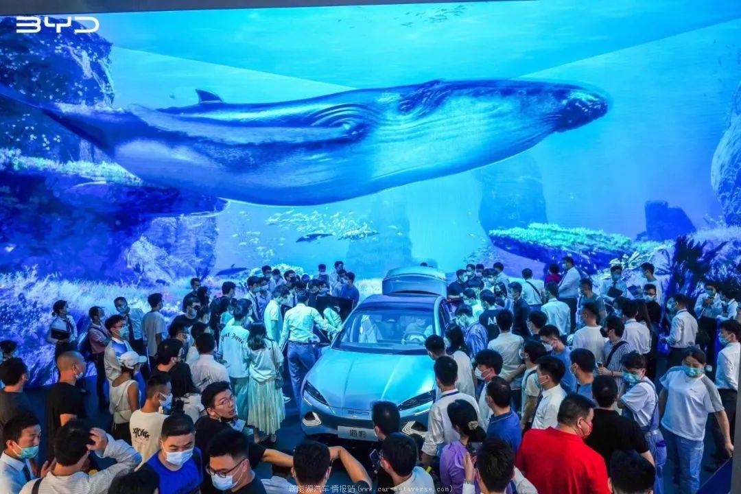 为什么比亚迪能夺得新能源霸主之位(2022年中国新能源销量第1)