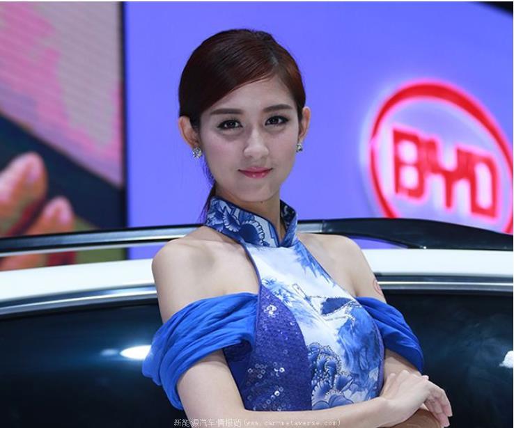 中国新能源产业是什么水平(比亚迪夺得新能源世界冠军)