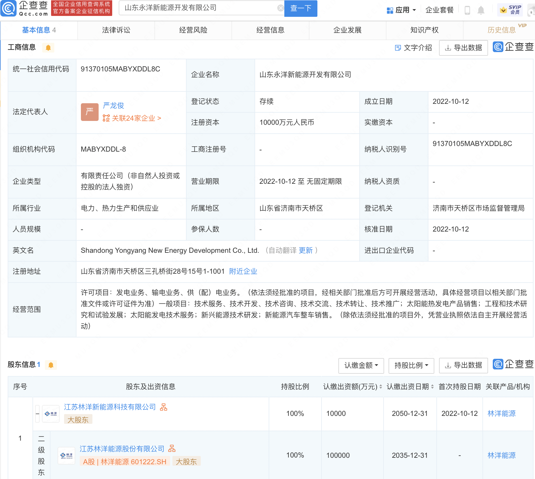 山东永洋新能源开发有限公司(林洋能源投资1亿元)