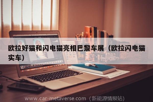 欧拉好猫和闪电猫亮相巴黎车展（欧拉闪电猫实车）