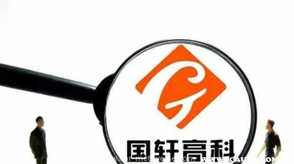 国轩高科最新消息新闻，大众取消入股国轩高科