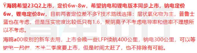 比亚迪海鸥明年二季度上市！搭钠电池/预计售价6-8万