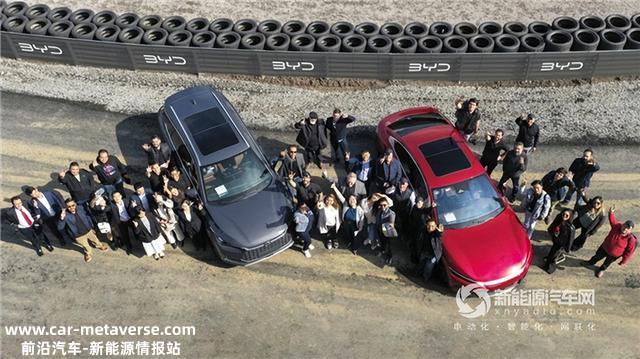 ​“迪王”势不成挡！比亚迪11月售车再破20万辆大关