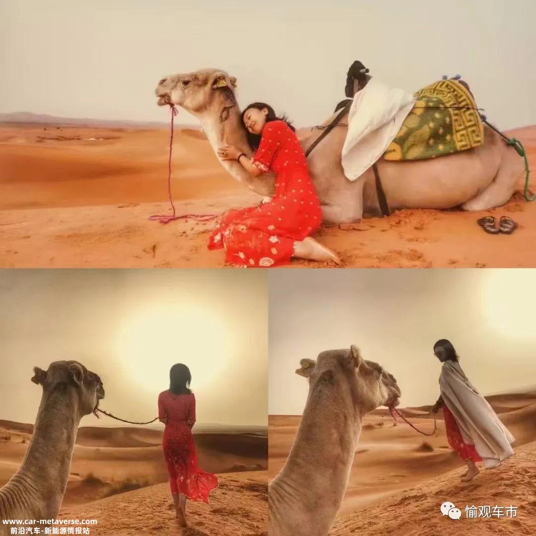 当摩洛哥成功进入前四名时,生活就像一束光!