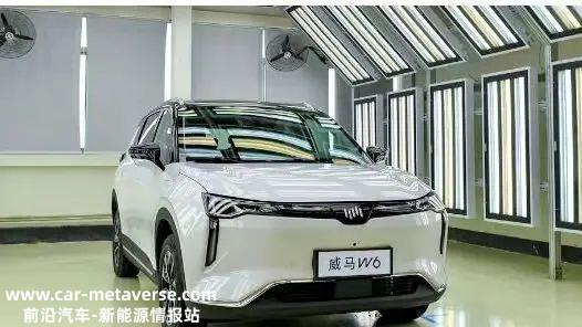 威马借壳上市还难吗?产品实力不足,行业寒冬雪上加霜