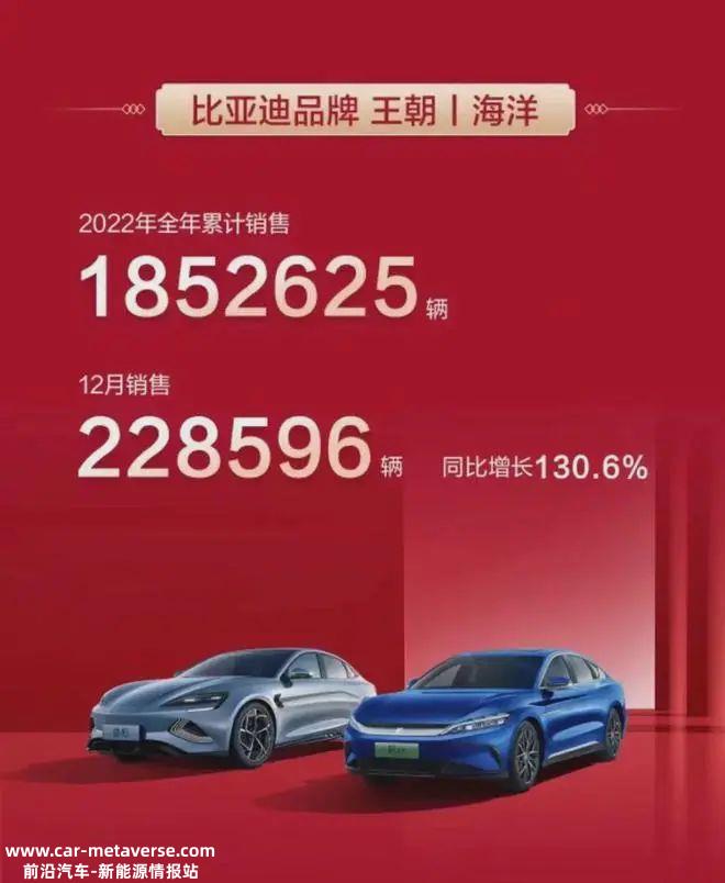 022年,哪些新能源汽车公司对销售做出最大贡献?'