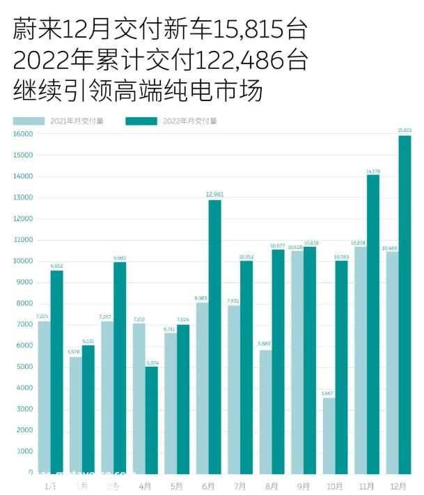 022年,哪些新能源汽车公司对销售做出最大贡献?'
