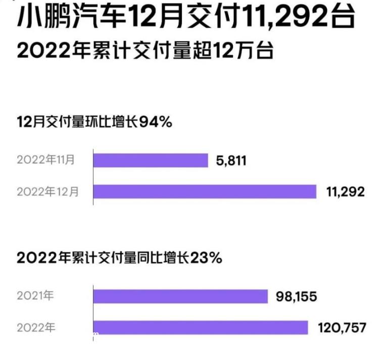 022年,哪些新能源汽车公司对销售做出最大贡献?'