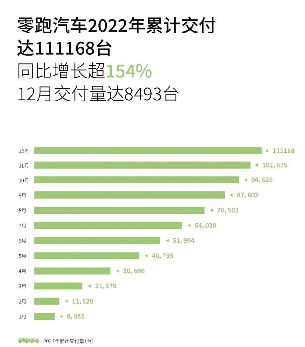 022年,哪些新能源汽车公司对销售做出最大贡献?'