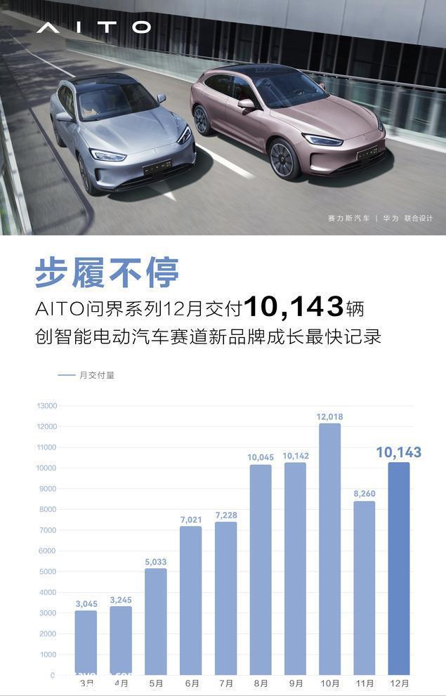 022年,哪些新能源汽车公司对销售做出最大贡献?'