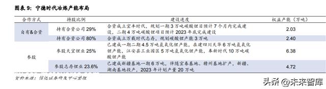 锂电池行业专题报告：一体化进程加速，原材料成为竞争力焦点要素