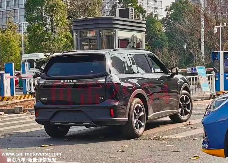 复活成功的自游家能步入正轨吗?