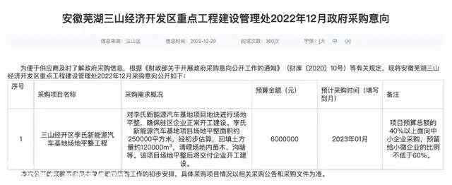 复活成功的自游家能步入正轨吗?