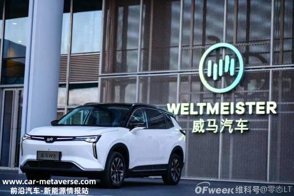 从威马到理小蔚造车新势力现原形