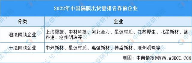 2023年中国锂电池隔膜行业市场远景及投资研究报告（简版）