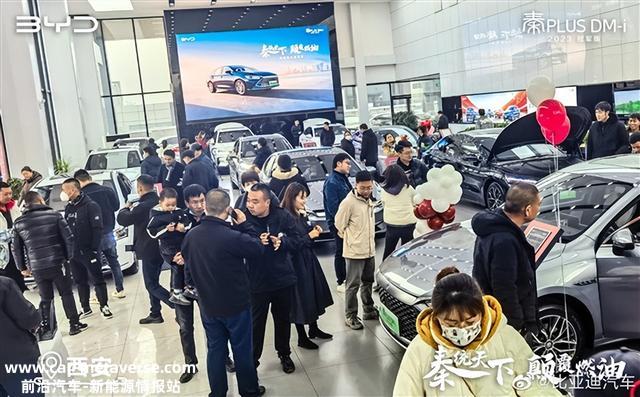 狂揽1.5万定单 比亚迪秦PLUS DM-i有多火：店内水泄欠亨