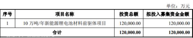 京阳科技10万吨/新能源锂电池材料前驱项目入选