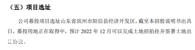京阳科技10万吨/新能源锂电池材料前驱项目入选