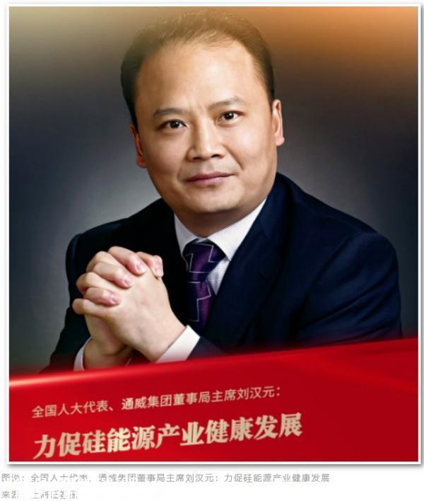 光伏、储能、氢能持续爆发，代表委员建言如何高质量发展
