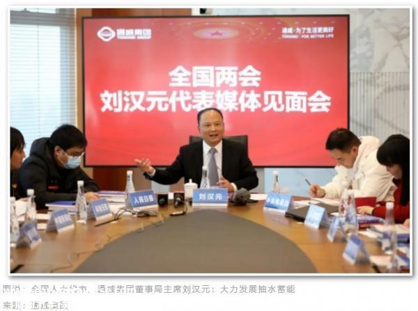 光伏、储能、氢能持续爆发，代表委员建言如何高质量发展