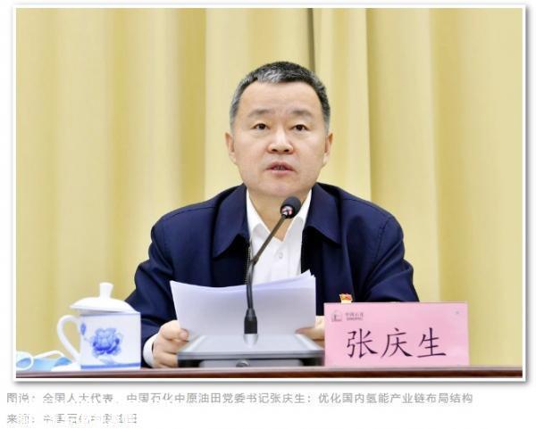 光伏、储能、氢能持续爆发，代表委员建言如何高质量发展