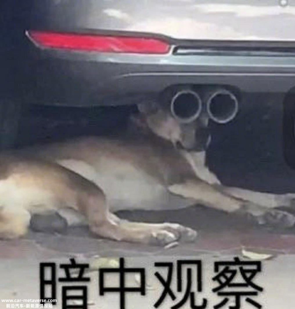 降价促销越来越大,315车企忙得不可开交