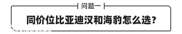 Q&A丨7-8万元能买小跑车？25万级选比亚迪汉还是海豹？