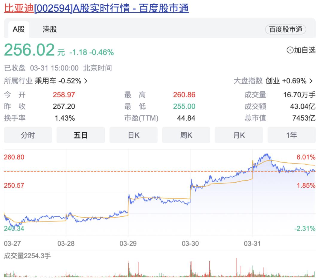 比亚迪飙升19