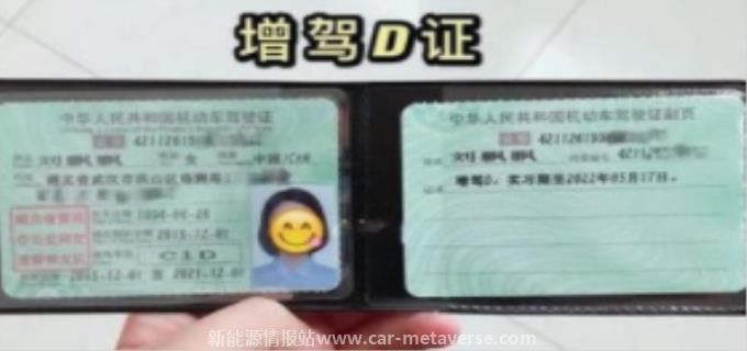 D驾照能开什么车