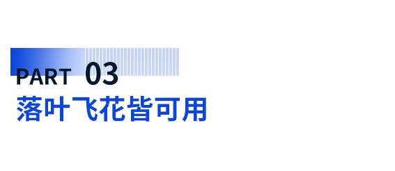 放弃高精度地图,主动扔掉拐杖,关闭“上帝视角”
