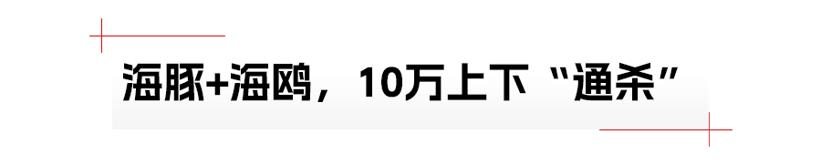 比亚迪海鸥，销量能飞多高？
