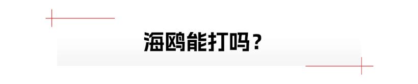 比亚迪海鸥，销量能飞多高？