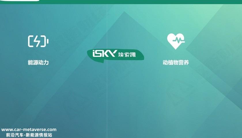 埃索凯境外销售过半，营收净利润增幅放缓，毛利率低