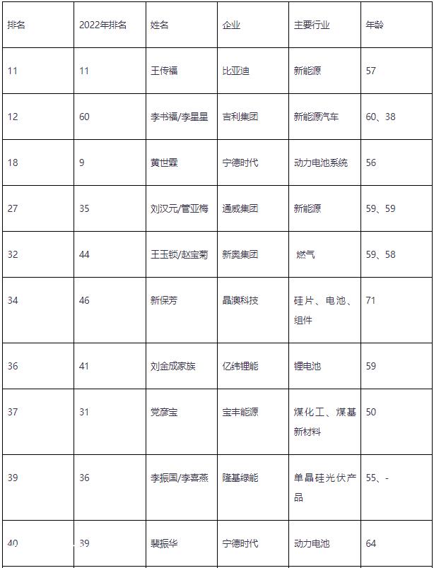 023年新财富500富人名单出炉,比亚迪王传福隆基绿能李振'