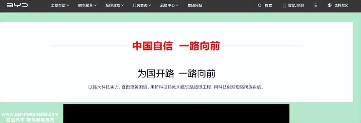 红海中的红海,即将打出脑浆的新能源汽车市场,一个月一万辆,怎