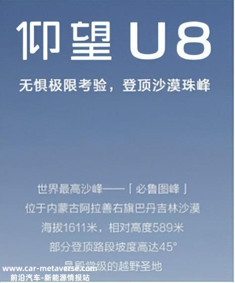 红海中的红海,即将打出脑浆的新能源汽车市场,一个月一万辆,怎