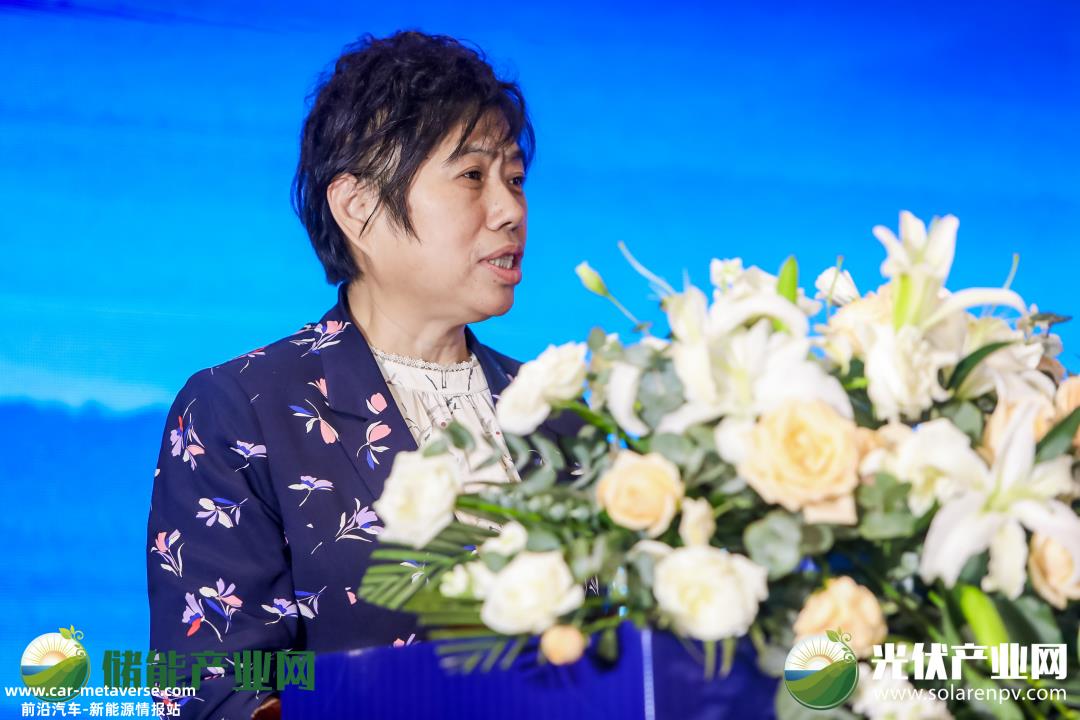 023泰山储能论坛成功举行'