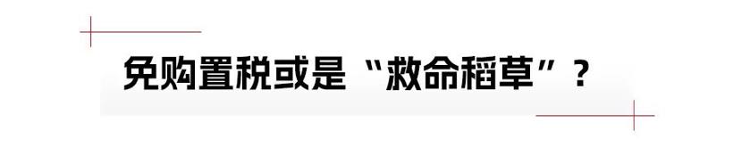 不送绿牌后，上海插混车型销量暴跌