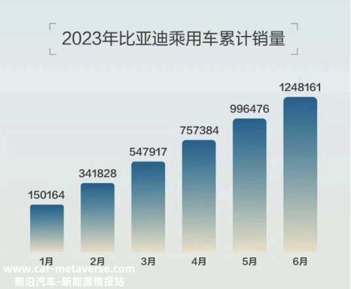023年比亚迪月销量25'