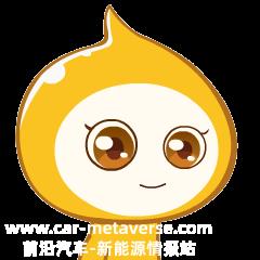 如何正确使用车充？
