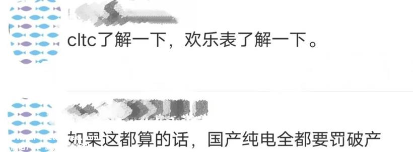外媒曝出的特斯拉大瓜，居然是“欢乐表”