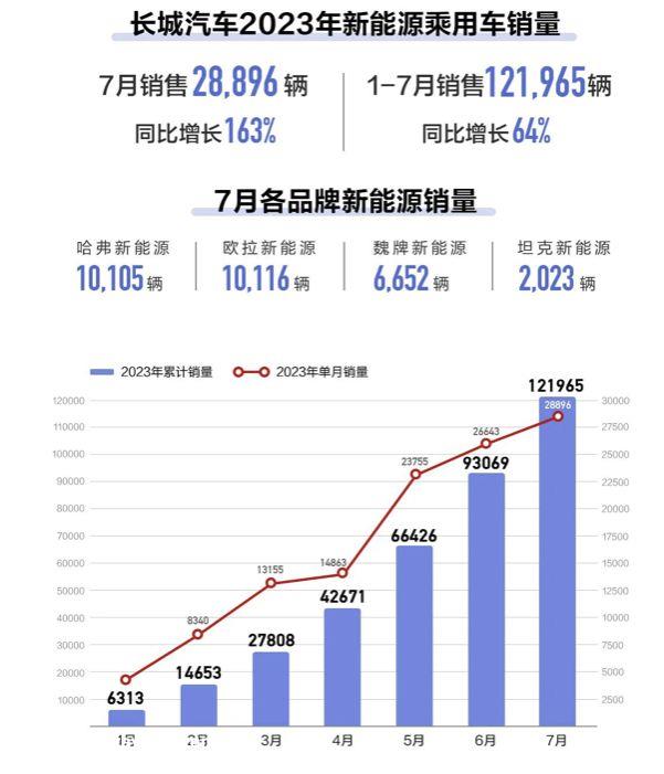 月新能源汽车企业真实表现如何?'