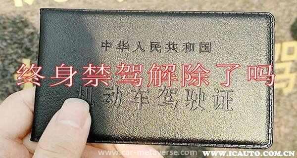 驾驶证终身禁驾的解决办法