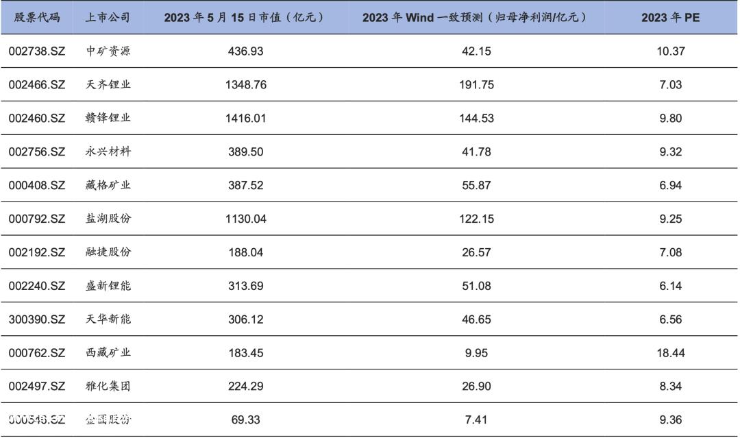 023年锂行业研究报告"