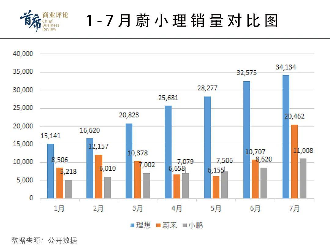 中国新能源汽车市场逆势增长