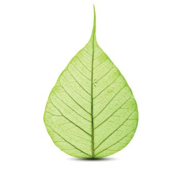 沙基推出Noryl牌号的生物基版本 以满足可持续发展要求