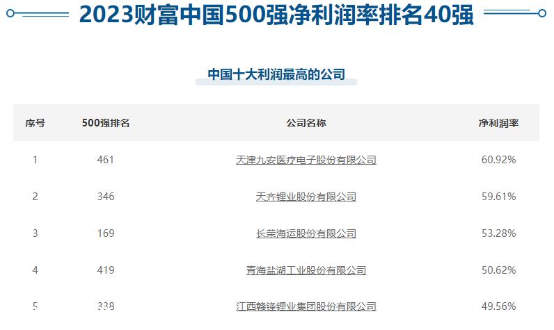 023年财富500强中利润率排名前五的锂矿公司'