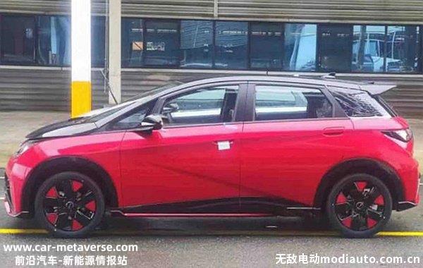 海豚冠军版什么时候上市？海豚2024年会换代吗