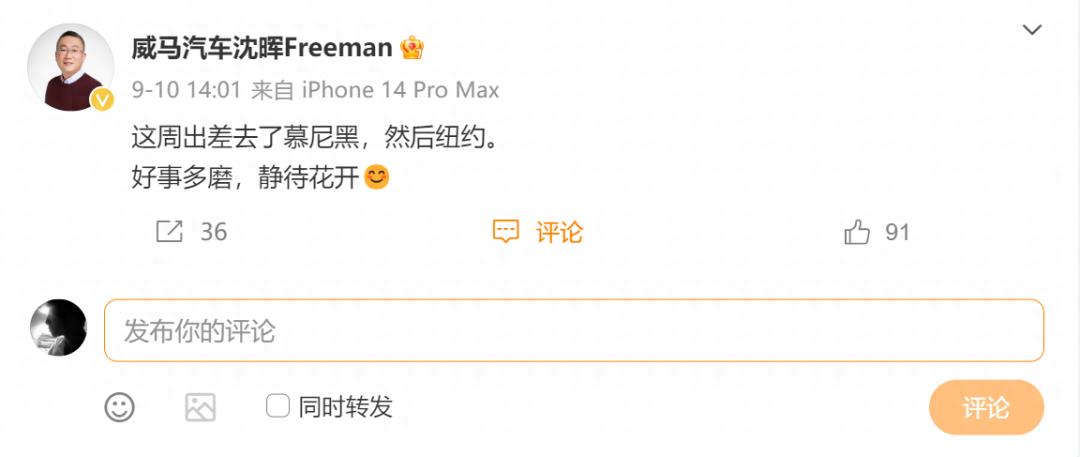 从巅峰到谷底22个月,威马是怎么玩自己的?